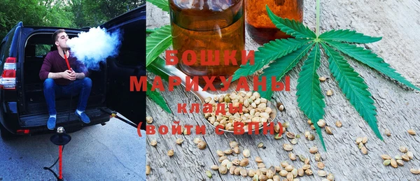 сатива Богородицк