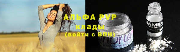 молекула духа Богородск