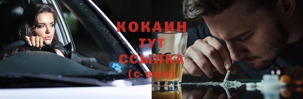 сатива Богородицк
