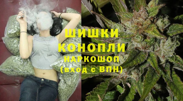 сатива Богородицк
