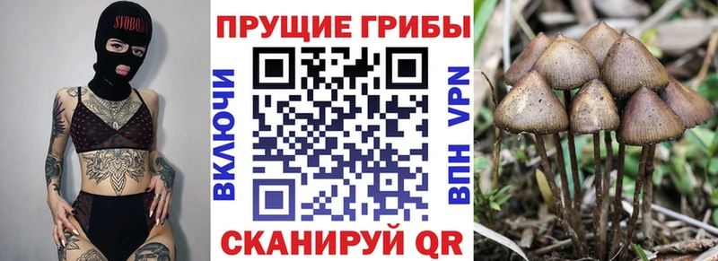 Галлюциногенные грибы мухоморы Городец