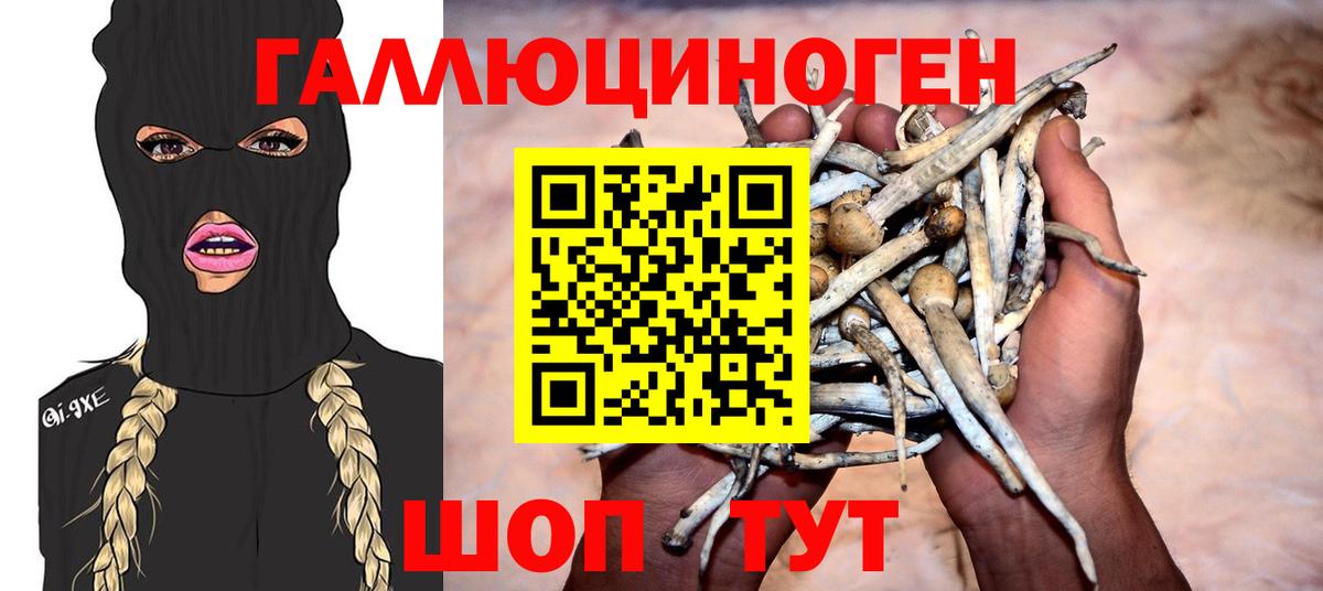 Галлюциногенные грибы мицелий  Вход с VPN  Городец 