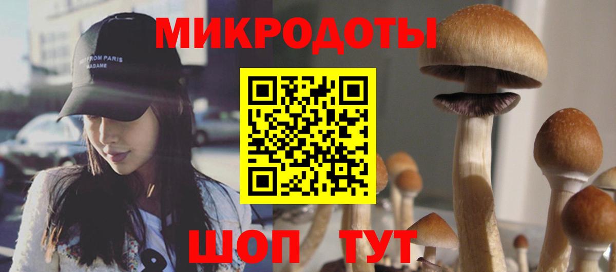 Галлюциногенные грибы мухоморы Городец