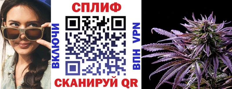 как найти   Городец  Бошки марихуана White Widow 